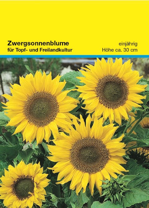 Samentütchen 82 x 114 mm, Zwergsonnenblume